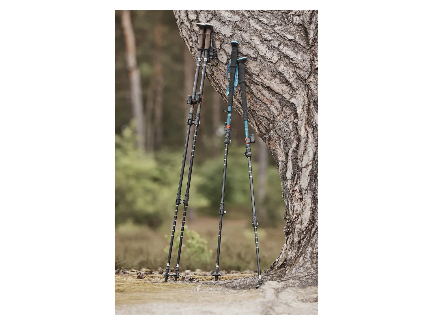 Rocktrail Btons de randonne en aluminium