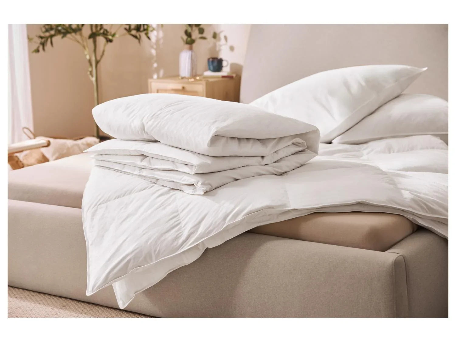 LIVARNO Couette en plumes et en duvet, 140 x 200 cm