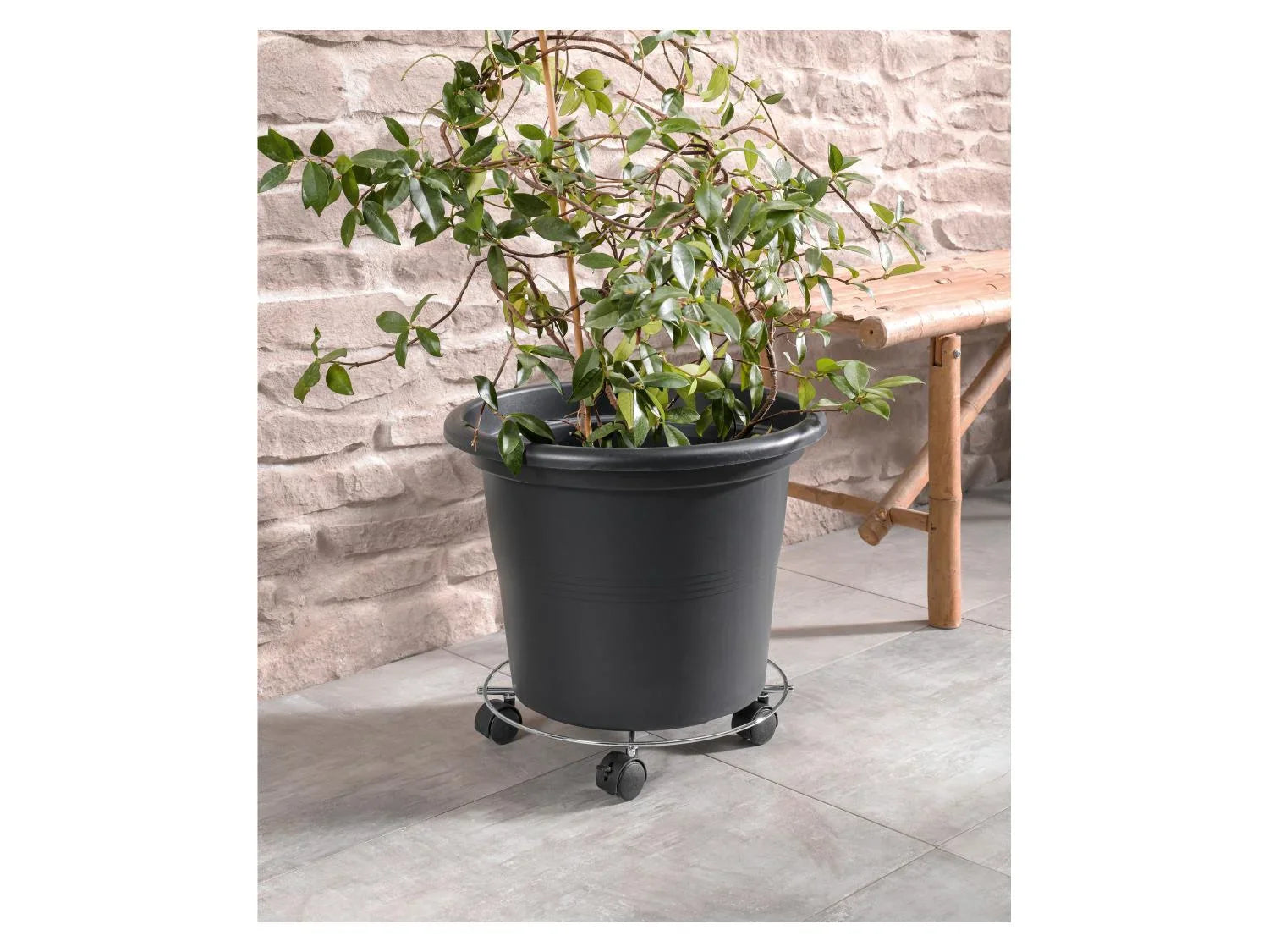 PARKSIDE Support roulant pour plantes