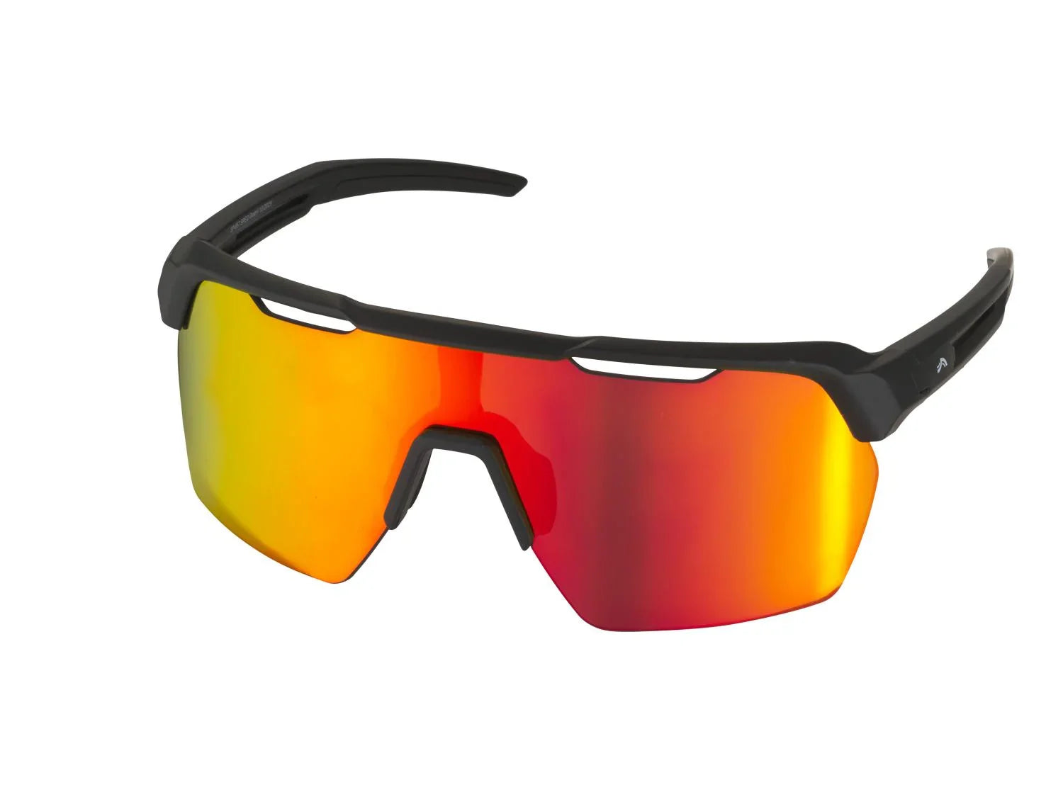 CRIVIT Lunettes de sport Premium