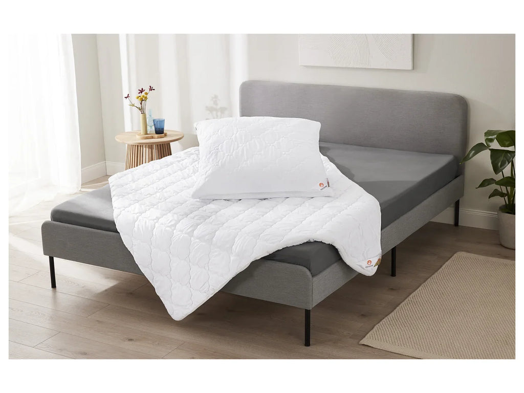 LIVARNO home Oreiller Polygiene, 60 x 60 cm