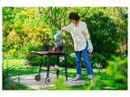GRILLMEISTER Chemine d'allumage