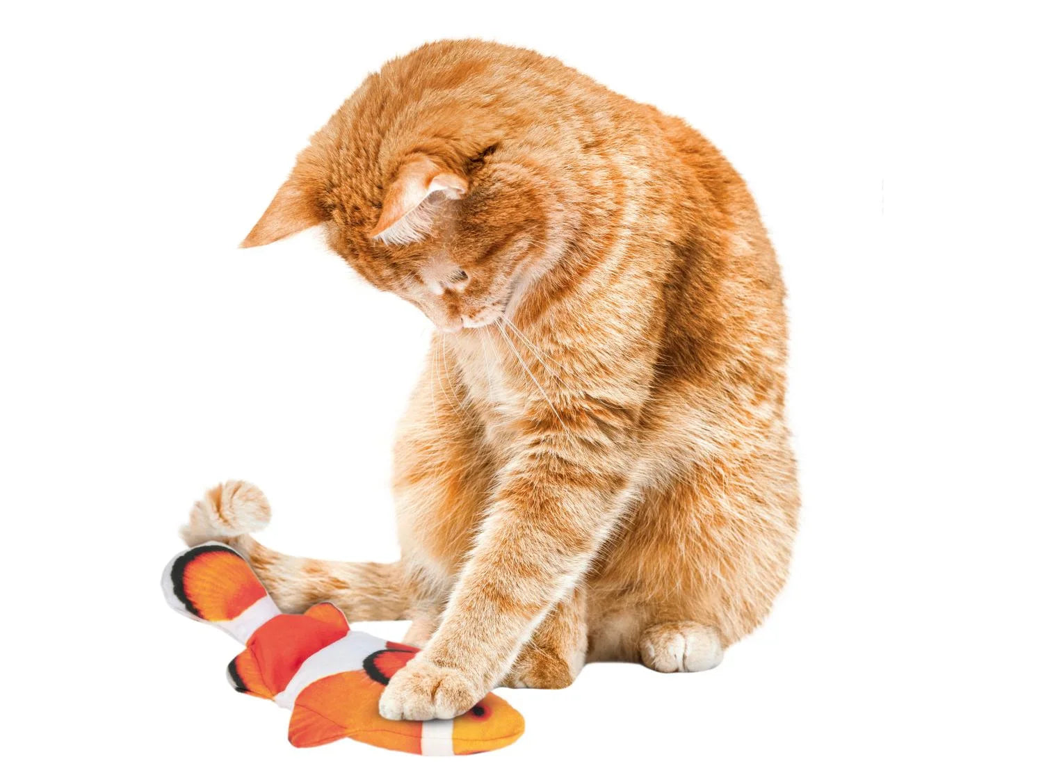 zoofari Jouet pour chat