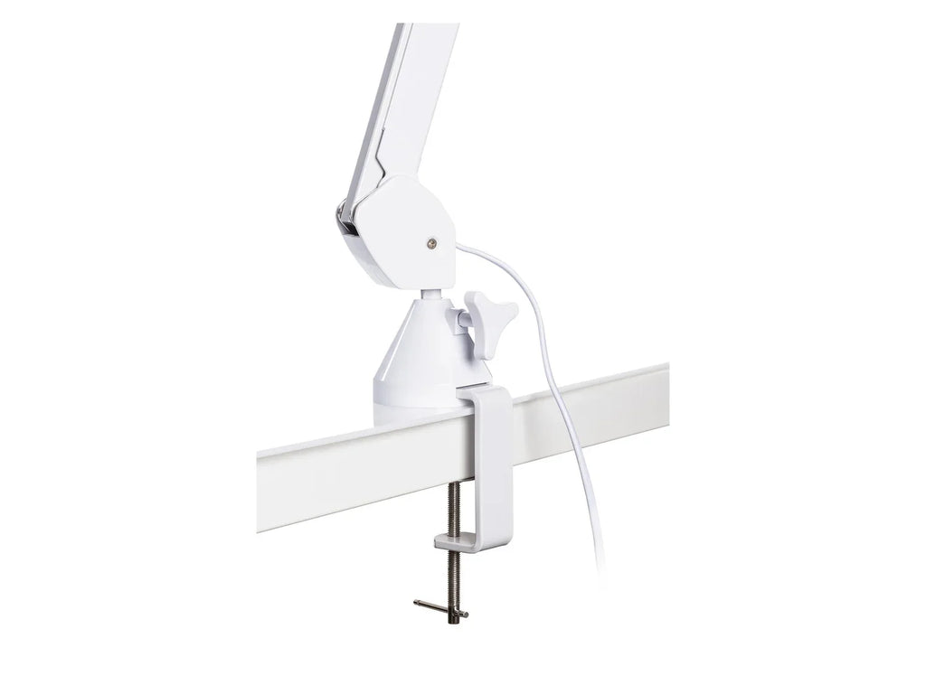 LIVARNO home Loupe avec clairage  LED