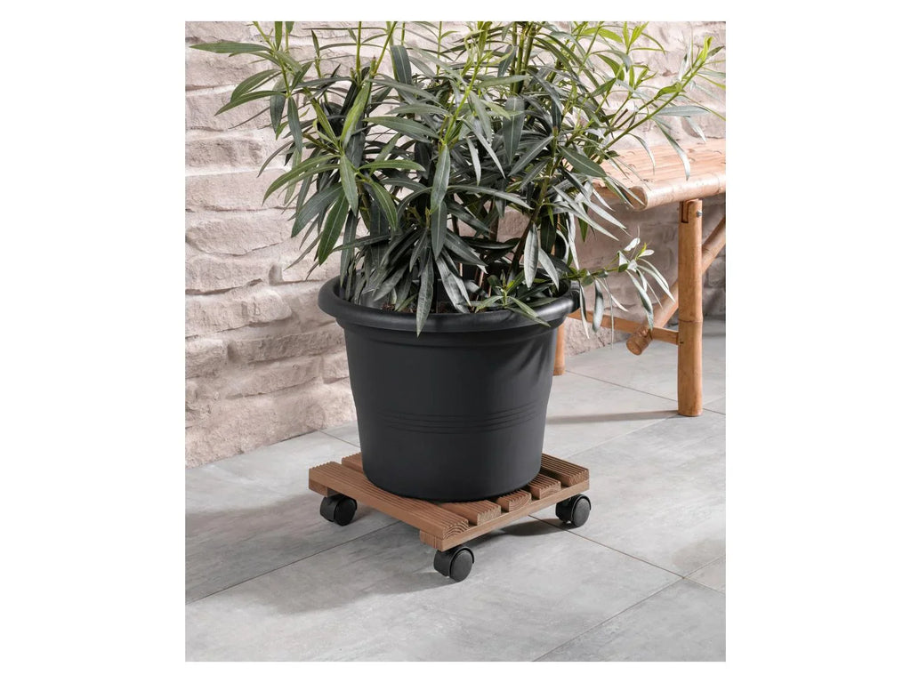 PARKSIDE Support roulant pour plantes