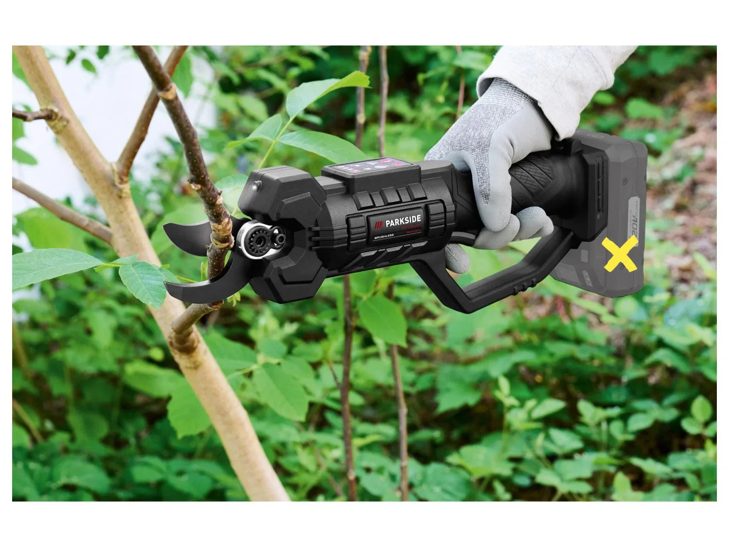 PARKSIDE Taille-branches sans fil + chargeur + batterie, 20 V