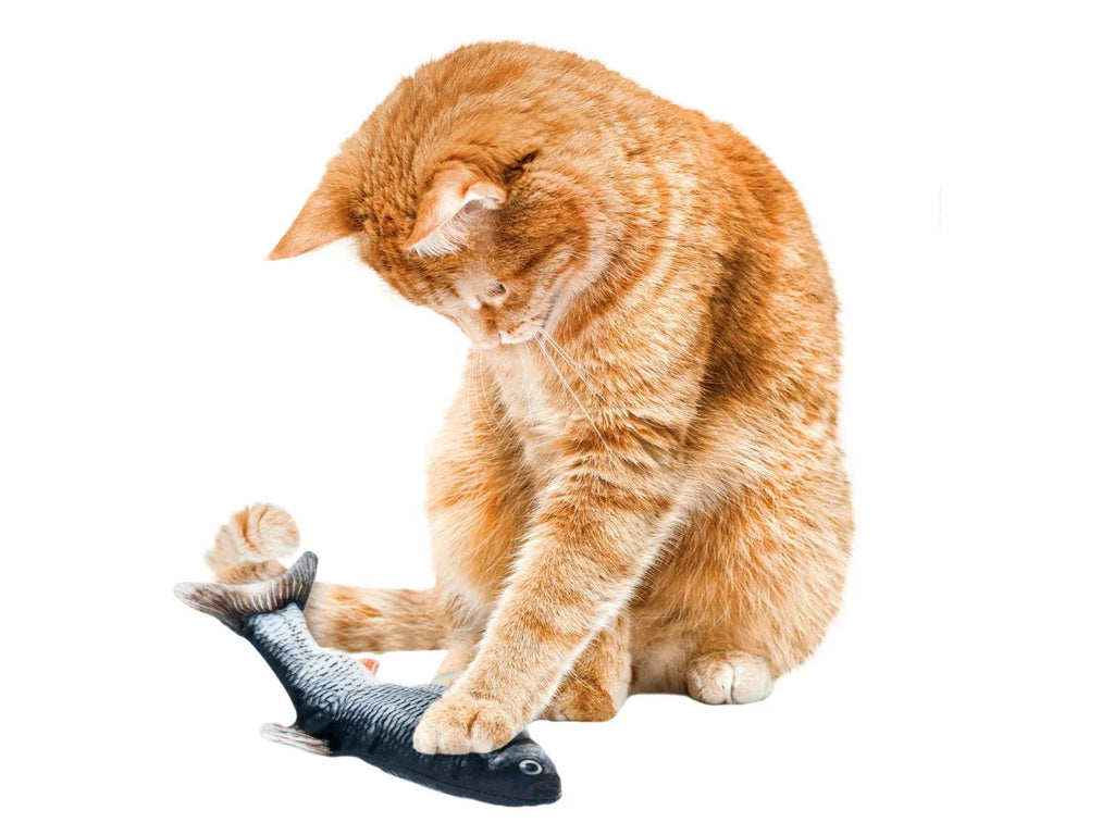zoofari Jouet pour chat
