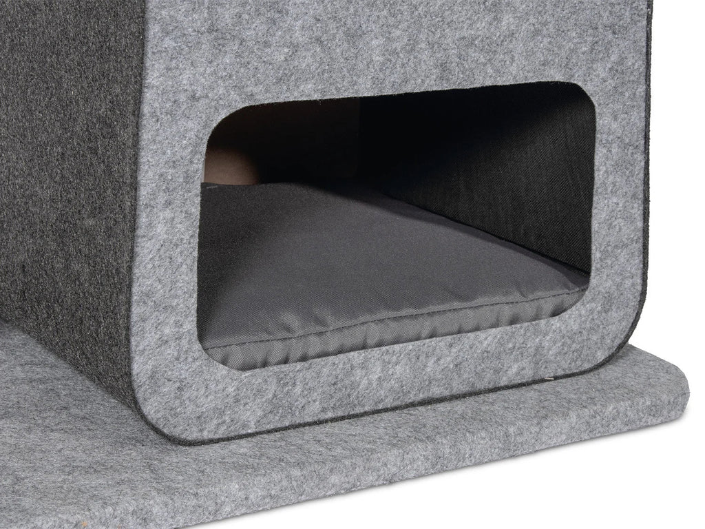Karlie Arbre  chat, gris