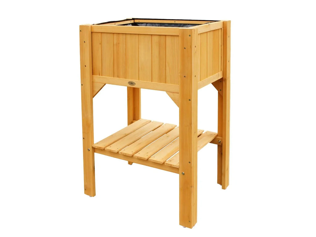 HABAU Plateau surlev compact