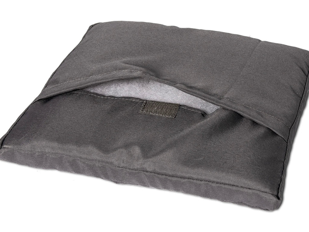Karlie Arbre  chat, gris