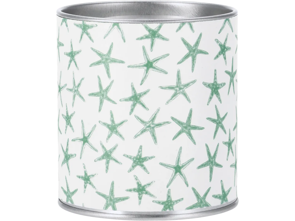 LIVARNO Torche ou bougie citronnelle