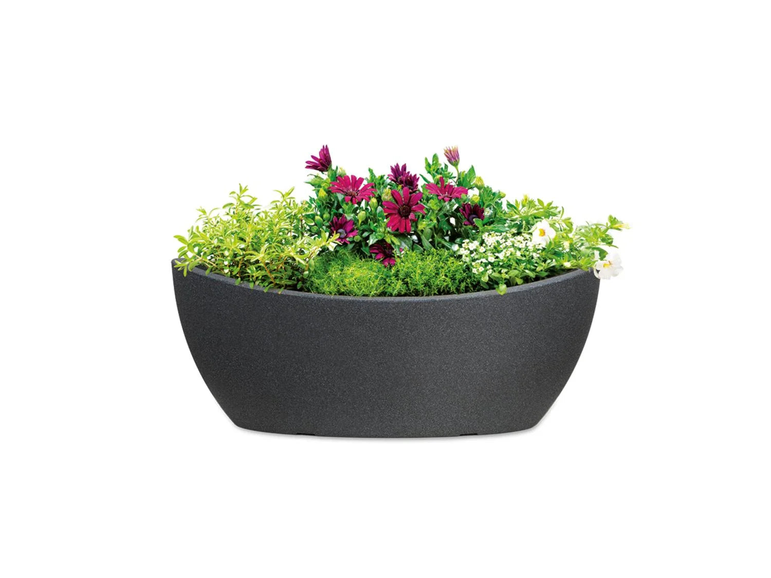 Scheurich Jardinire Wave Globe
