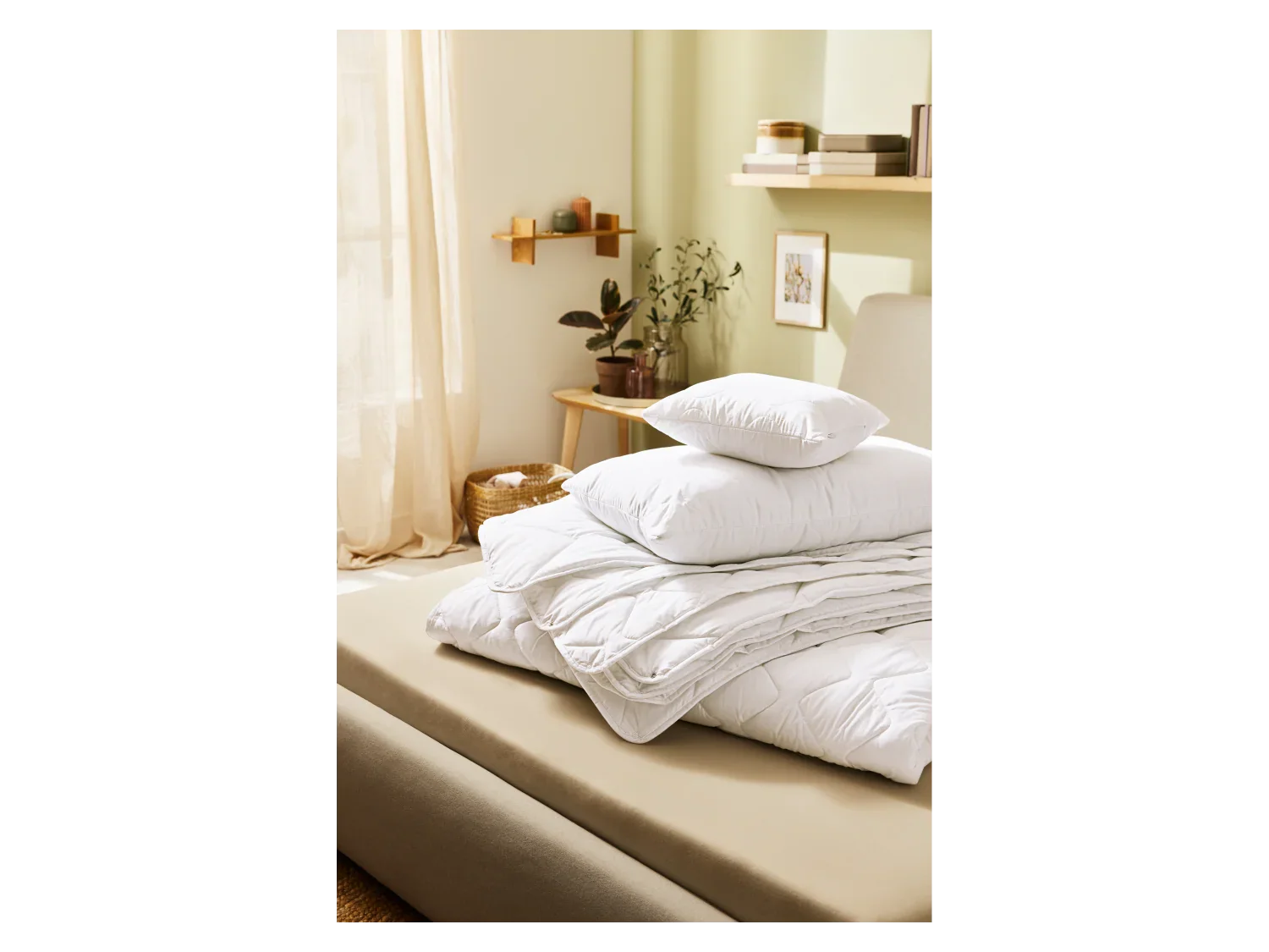 LIVARNO home Oreiller, 70 x 50 cm