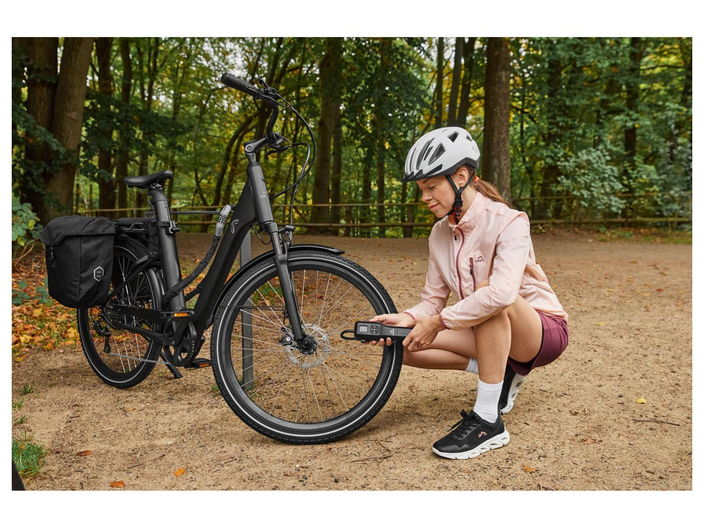 CRIVIT Sacoche pour porte-bagages