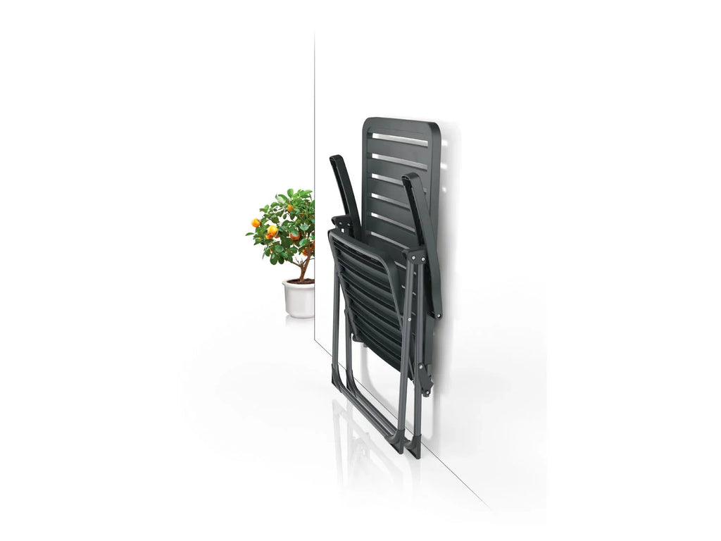 LIVARNO home Chaise pliante rglable en 6 positions