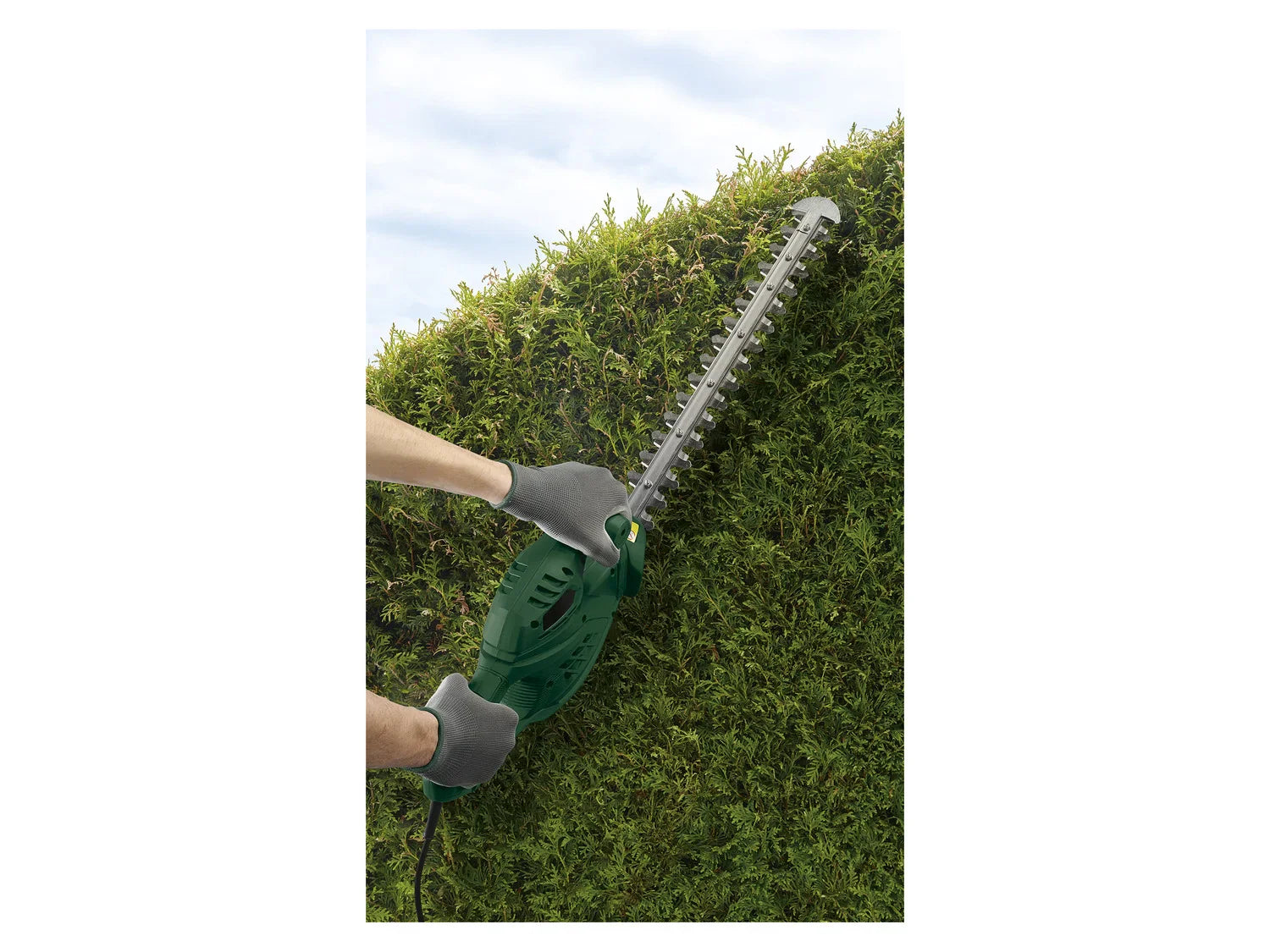 PARKSIDE Taille-haies lectrique PHS 450 A1, 450 W