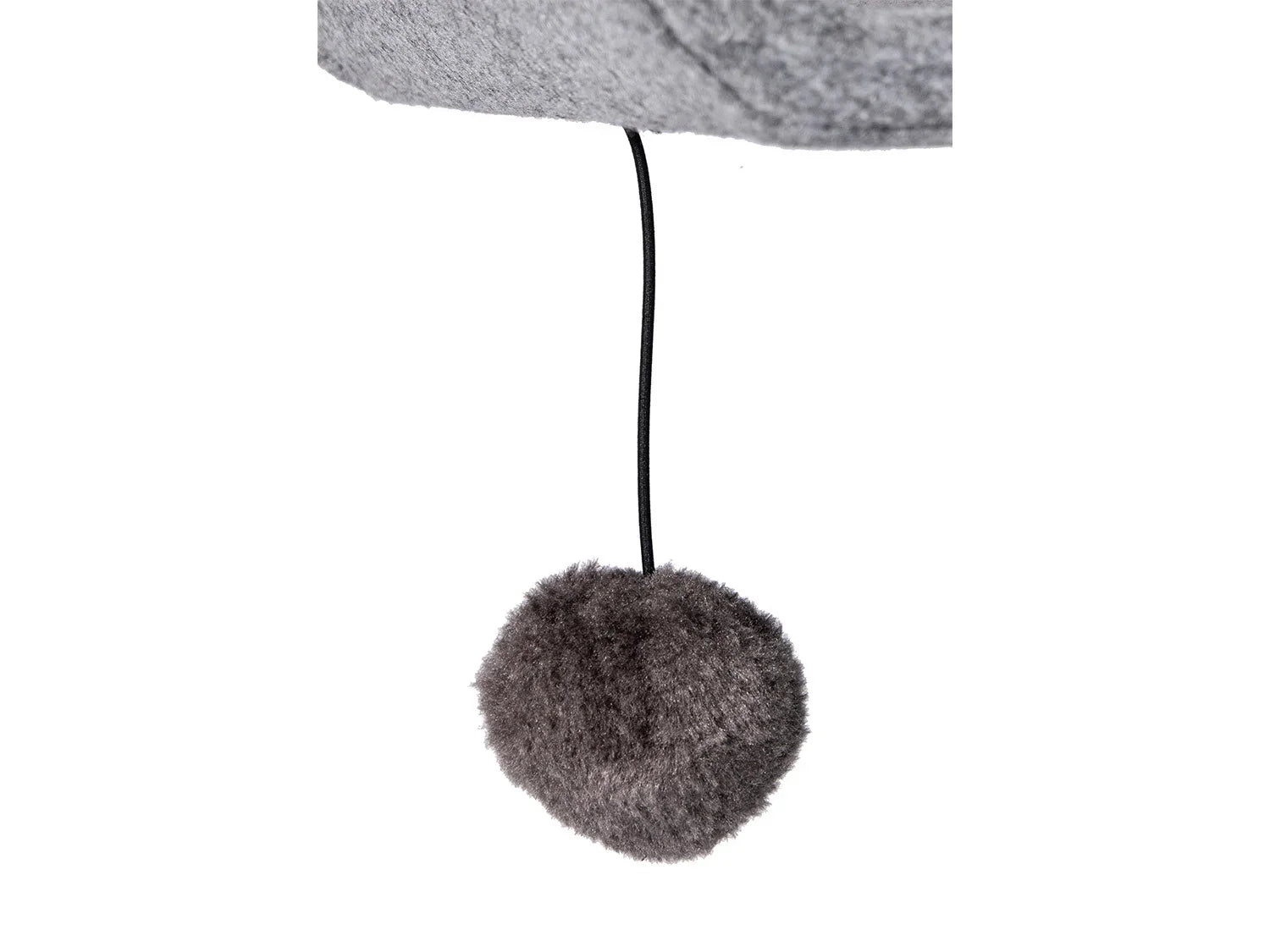 Karlie Arbre  chat, gris