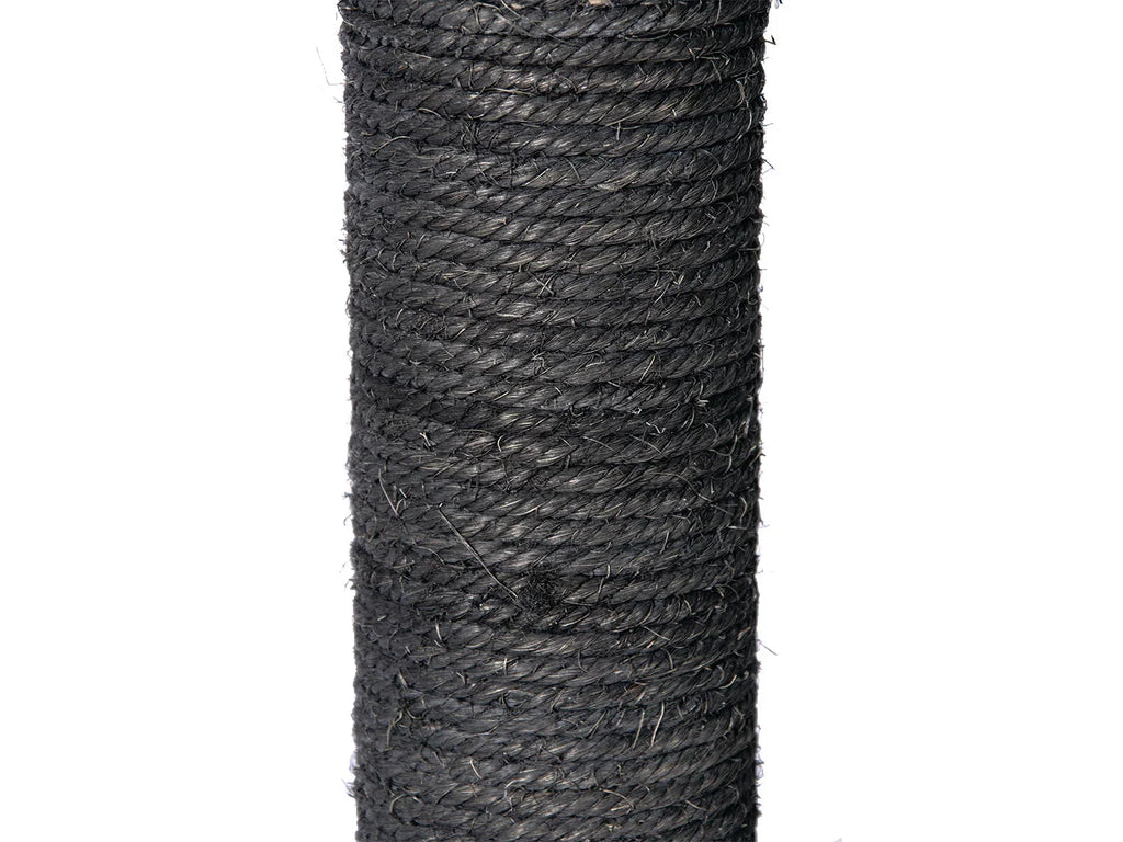 Karlie Arbre  chat, gris