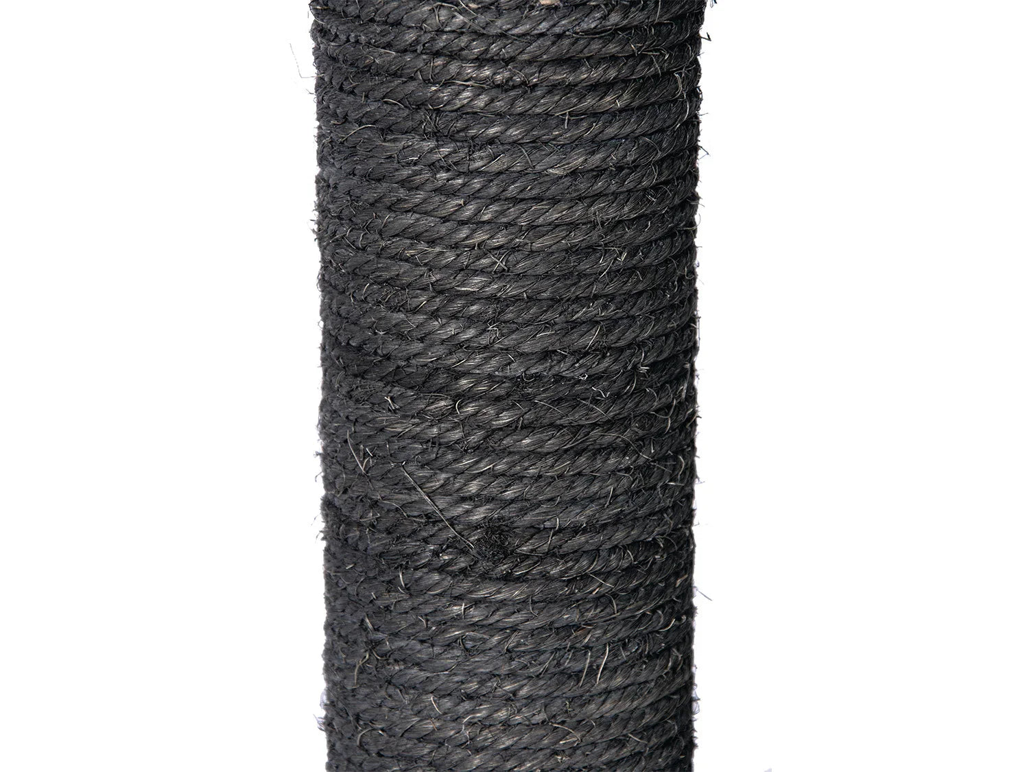 Karlie Arbre  chat, gris