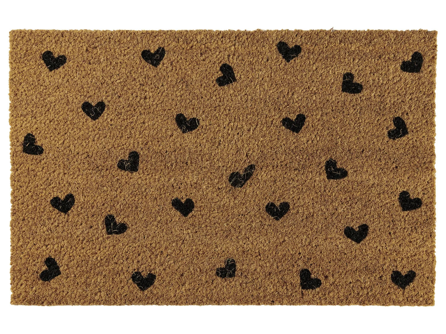 LIVARNO home Paillasson en coco, 40 x 60 cm