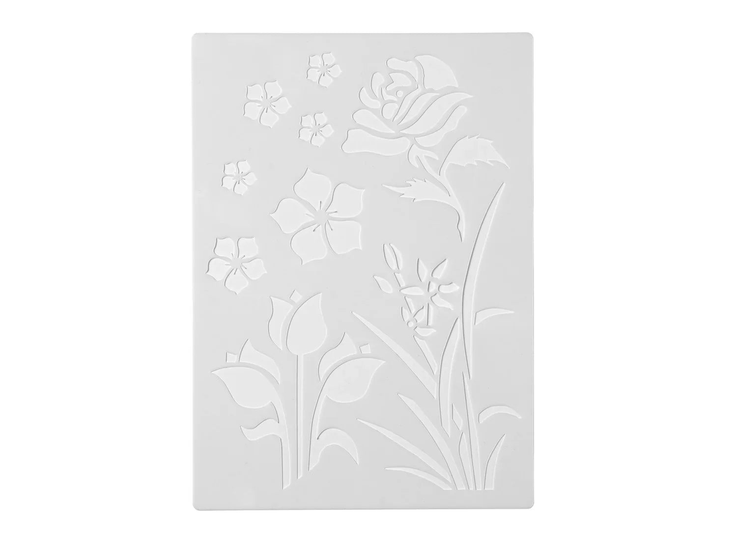 crelando Set de dmarrage d'arographie, 19 pices