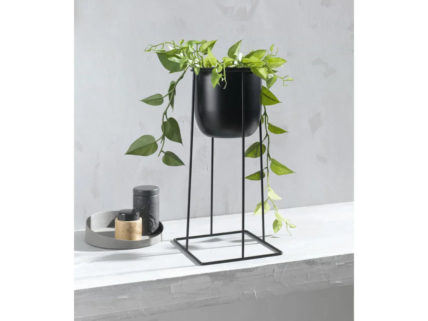 LIVARNO home Pot de fleurs avec cadre mtallique