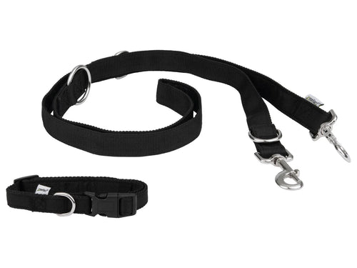 zoofari Collier pour chien avec laisse
