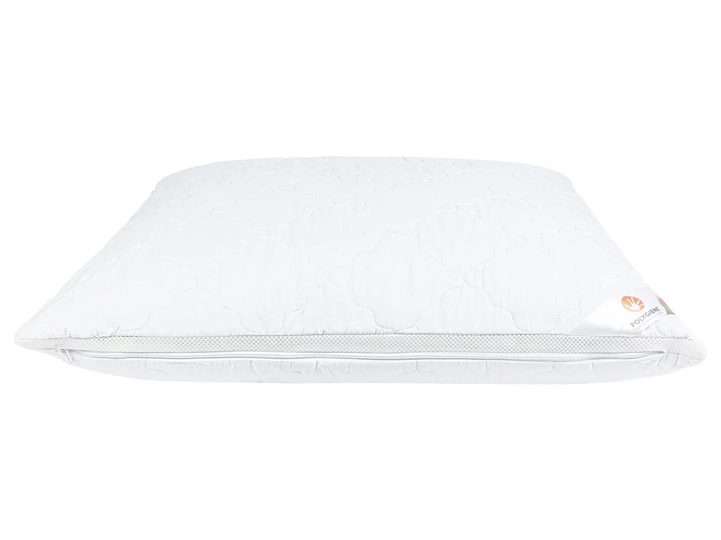 LIVARNO home Oreiller Polygiene, 60 x 60 cm