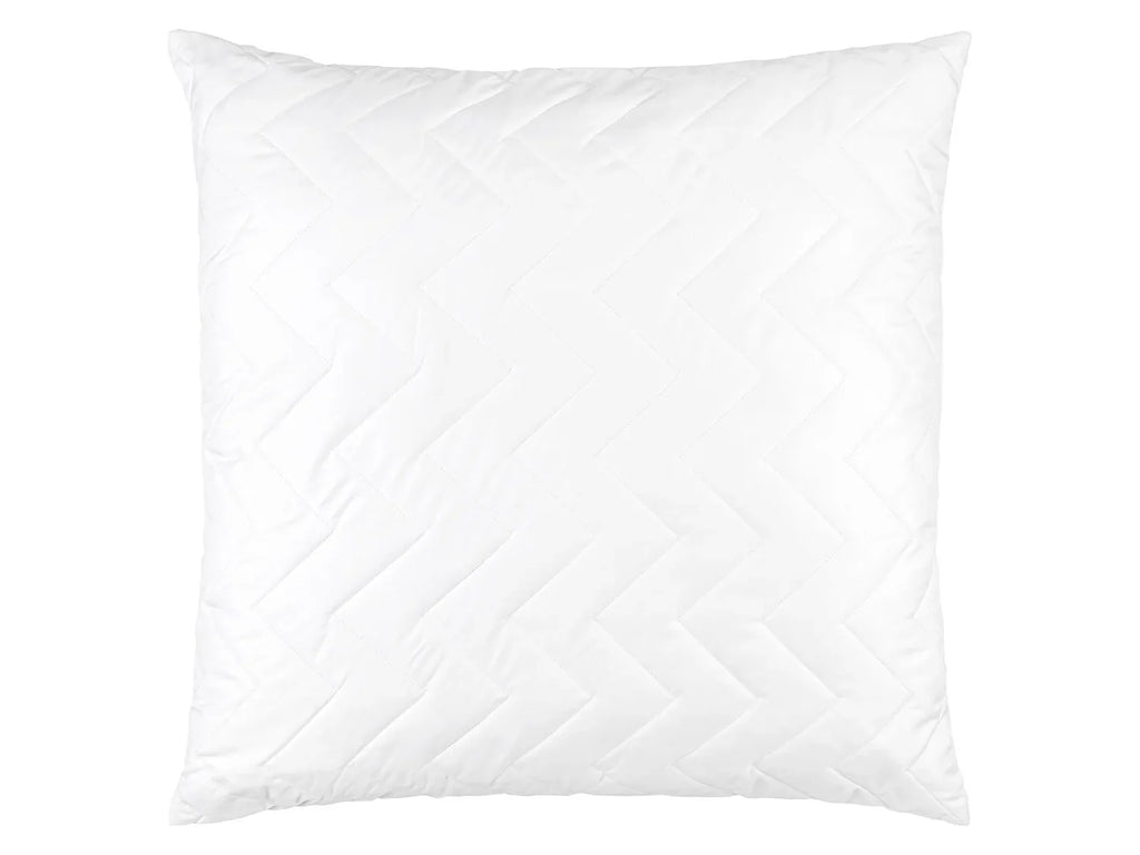 LIVARNO home Oreiller Aloe Vera, 60 x 60 cm