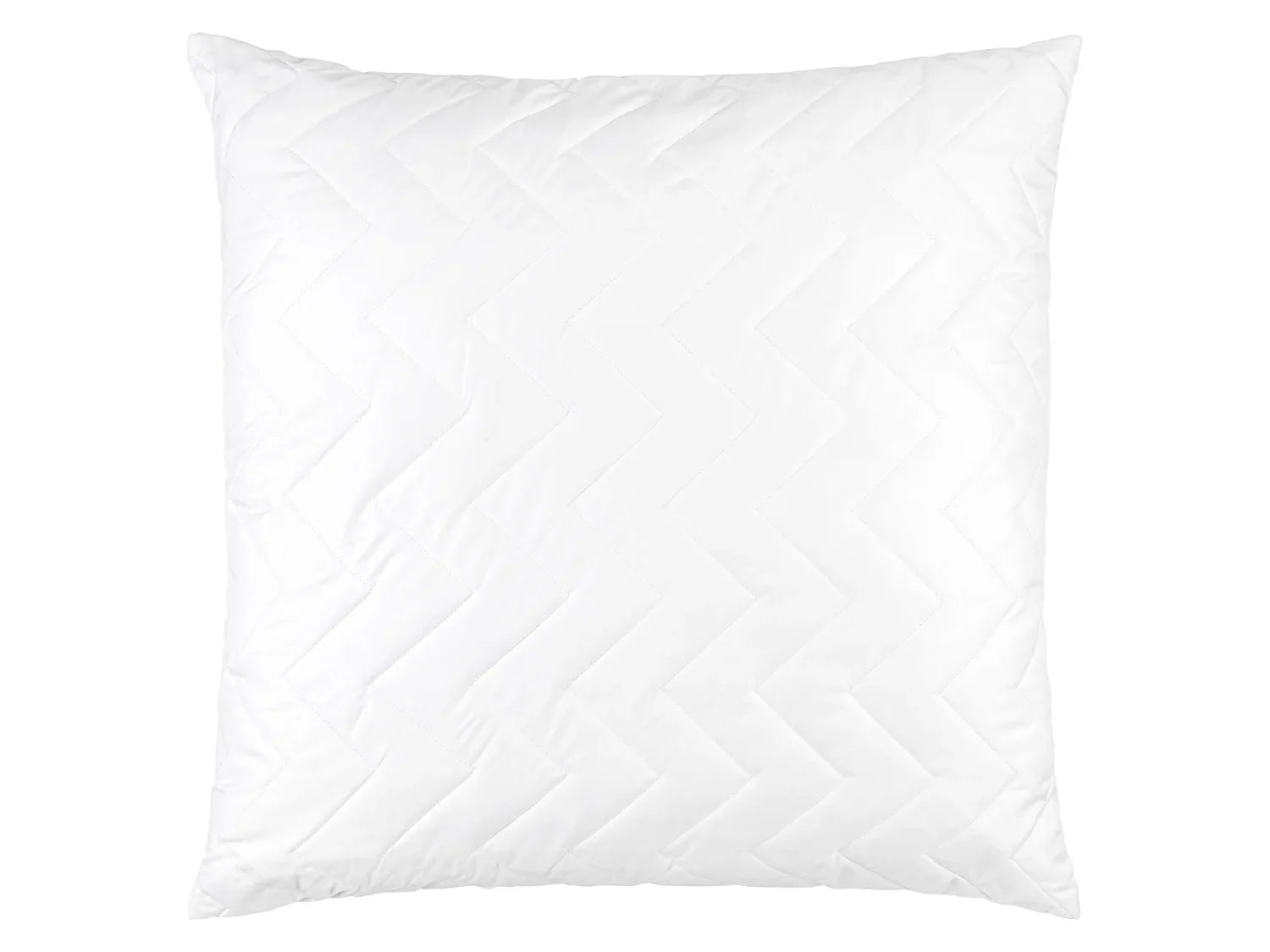 LIVARNO home Oreiller Aloe Vera, 60 x 60 cm