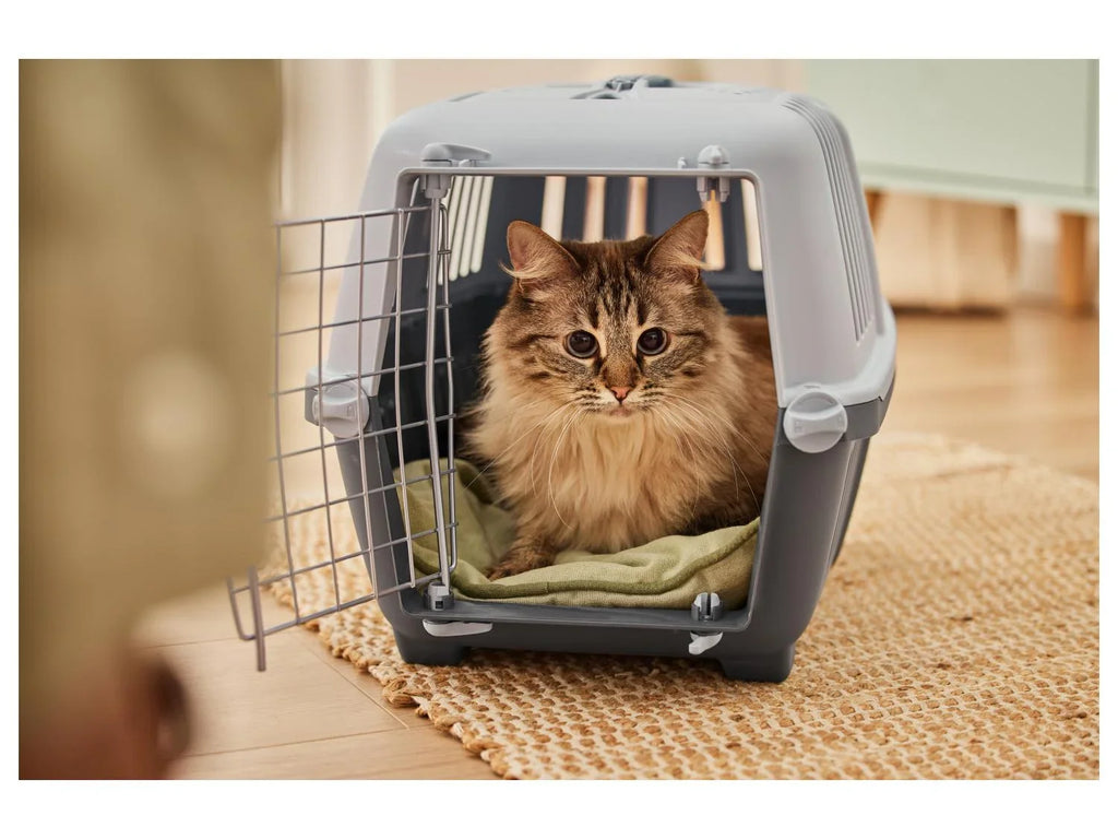 zoofari Bac  litire pour chat ou Caisse de transport