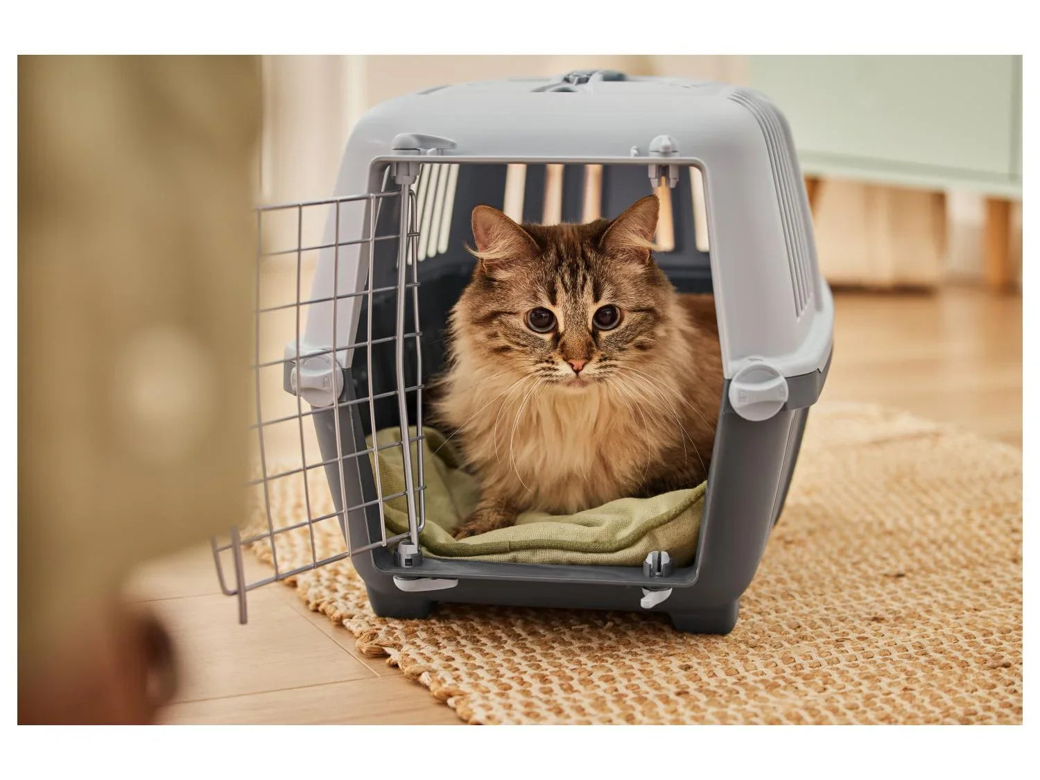 zoofari Bac  litire pour chat ou Caisse de transport