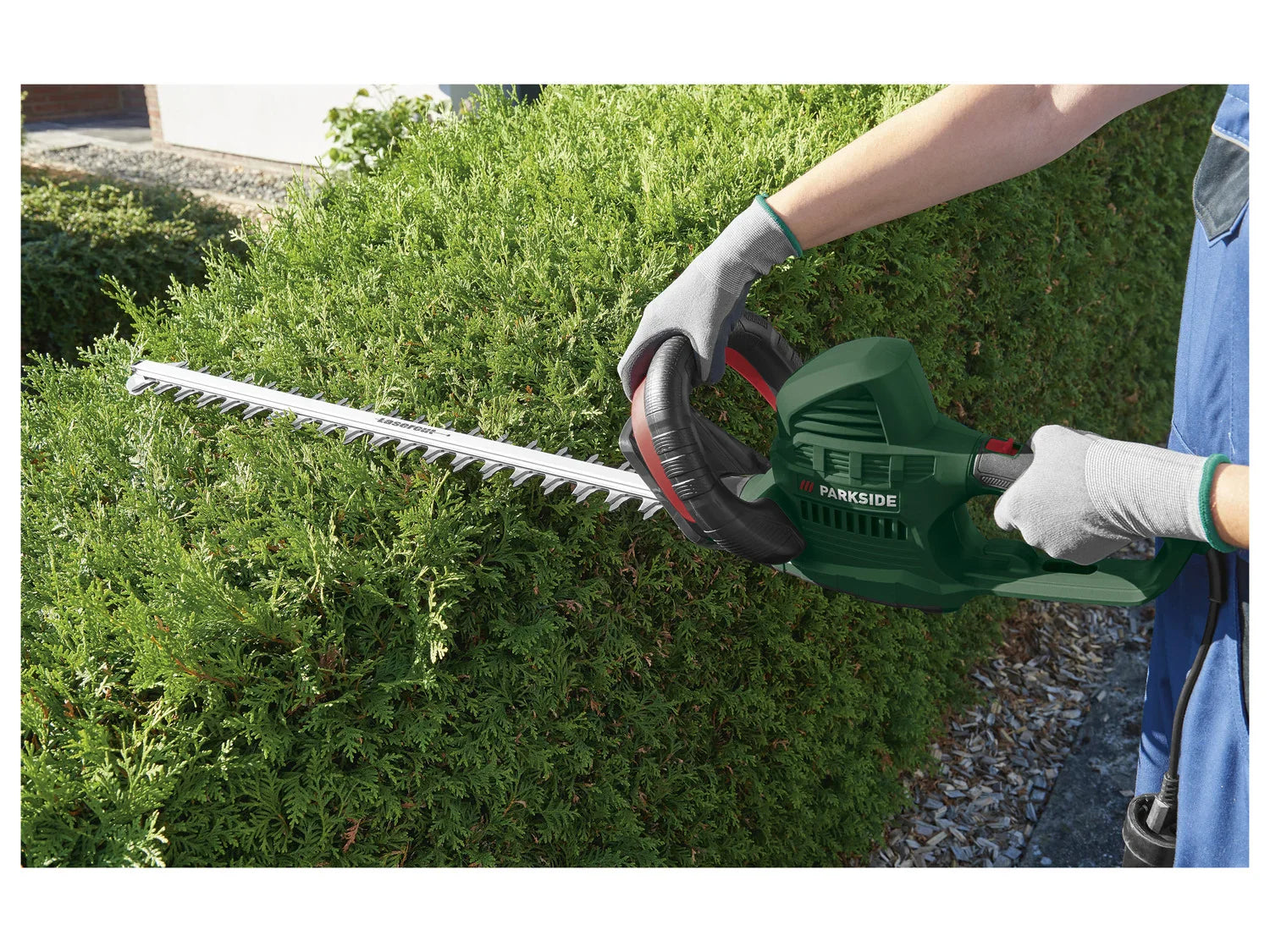 PARKSIDE Taille-haies lectrique PHS 650 A1, 650 W