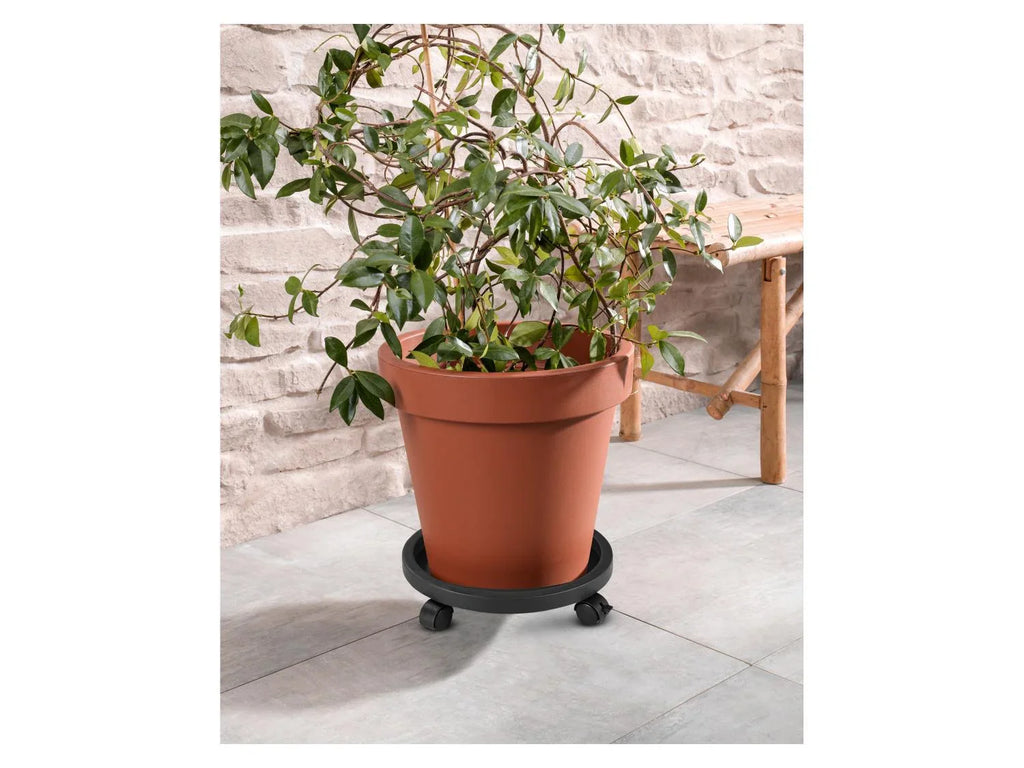 PARKSIDE Support roulant pour plantes